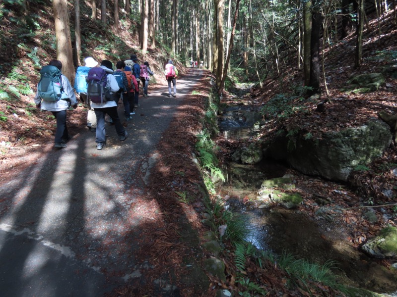 日和田山、物見山